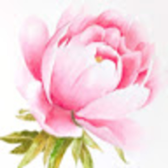 Meet your Posher, Anne - Picture 1 of 1